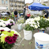 Mercado de flores de Todos os Santos na Ferrería 2021