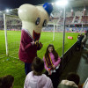 Partido entre Pontevedra CF e CD Tenerife en Pasarón da segunda rolda da Copa do Rei