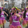 Desfile do Entroido en Pontevedra 2017 (III)