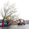 Os bombeiros retiran unha árbore que caeu sobre un coche no Polígono do Campiño