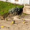 Xornada de limpeza no litoral de Sanxenxo