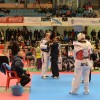 Combates de la categoría senior del Campeonato de España de clubes de taekwondo