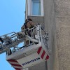 Los bomberos eliminan un nido de velutinas