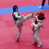 XXV edición do Campeonato Internacional Cidade de Pontevedra de Taekwondo