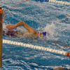 Campionato galego de natación de longa distancia en Pontemuíños