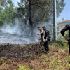 Incendio forestal en Tomeza