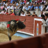 Toros de El Torero - Lola Domecq en la Feira Taurina de la Peregrina 2019