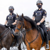 Unidade de Cabalería da Policía Nacional