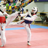  Open Cidade do Lérez de Taekwondo