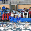 Campeonato gallego de invierno de natación artística en Pontemuíños
