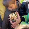 O alumnado do CEIP de Ponte Sampaio sae recoller cogomelos