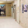 Inauguración da exposición ‘Camiño. O camiño e as artes’