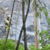 Incendio forestal moi próximo a unha vivendas en Vilaboa