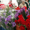 Mercado de flores en Vilagarcía