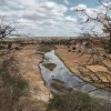 Río Tarangire na estación seca