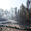 Montes queimados en Cotobade despois dos incendios de agosto