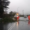 Caída de ramas na estrada nacional N-640, en Cuntis