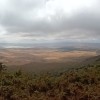 Cráter de Ngorongoro