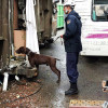 Brus durante su trabajo como perro policía