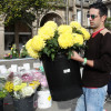 Mercado de flores de defuntos na Ferrería