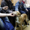 Actividad de sensibilización animal organizada en la sede de la Asociación Xuntos