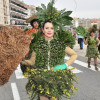 Desfile de Carnaval y concurso de disfraces de Sanxenxo