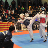 Campeonato de España Júnior de Taekwondo
