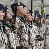 Parada militar con motivo del XLVII aniversario de la Brilat