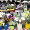 Mercado de flores na Ferrería