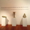 Exposición "Papiromates. Matemáticas + creatividade = papiroflexia"