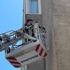 Los bomberos eliminan un nido de velutinas