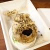 Cráneo encontrado en Santa Clara