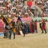 Torneo medieval da Feira Franca