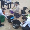 Limpieza de residuos en la playa de A Lanzada