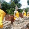 Budas a custodiar Wat Yai Chaimongkol