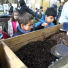 Os escolares do Marcos da Portela plantan árbores co compost de Monte Porreiro