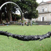 Mal estado de los jardines del Paseo de las Palmeras en Pontevedra