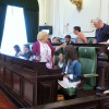 Pleno organizativo da Deputación de Pontevedra