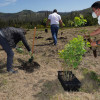 Plantación de 10.000 árboles mediante drones en montes de Borela