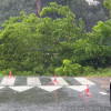 Árbol derribado en la avenida de Bos Aires