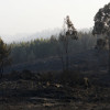 Terrenos devorados por el fuego en el monte de A Fracha