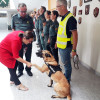 La subdelegada del Gobierno saluda a la perra 'Lúa', que participó en el operativo en O Vao