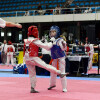XXV edición do Campeonato Internacional Cidade de Pontevedra de Taekwondo