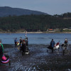 Mariscadoras na ría de Pontevedra