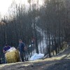 Xornada do sábado na operación 'mulching' tras os incendios de Ponte Caldelas