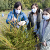 Plantación de los primeros árboles del bosque de Navidad de Tomeza