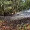 Incendio forestal en Tomeza