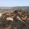 Montes quemados en la comarca de Pontevedra después de los incendios de agosto