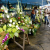 Mercado de flores por Todos los Santos en A Ferrería