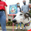 La iniciativa municipal trata de concienciar sobre el comportamiento cívico de los dueños de perros